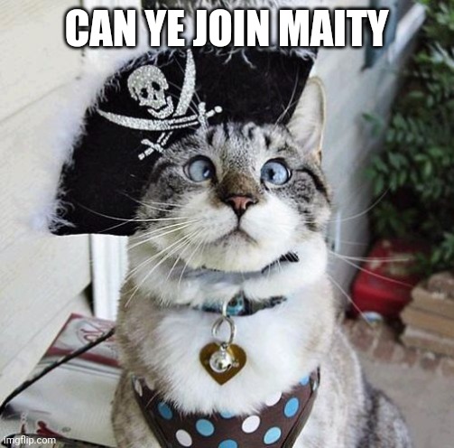 Let ye in | CAN YE JOIN MAITY | image tagged in memes,spangles | made w/ Imgflip meme maker