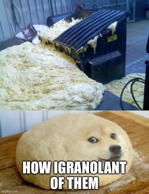 What a dry joke | HOW IGRANOLANT OF THEM | image tagged in dough doge | made w/ Imgflip meme maker