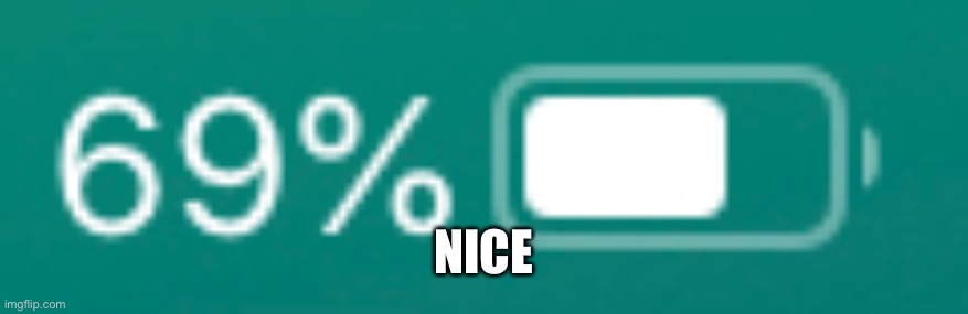 69% nice | NICE | image tagged in nice,69 | made w/ Imgflip meme maker