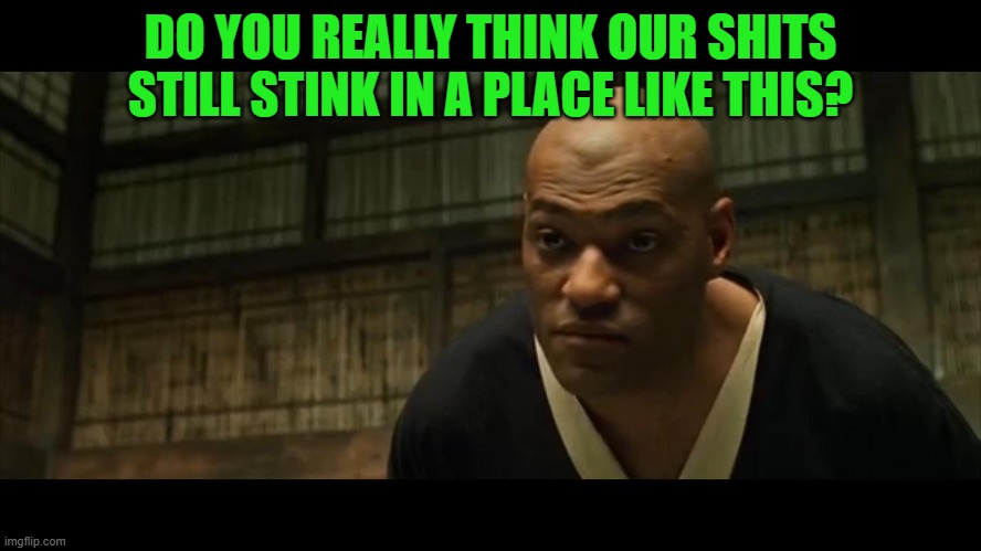 IMGLFIPPERS | DO YOU REALLY THINK OUR SHITS STILL STINK IN A PLACE LIKE THIS? | image tagged in morpheus cocky look | made w/ Imgflip meme maker