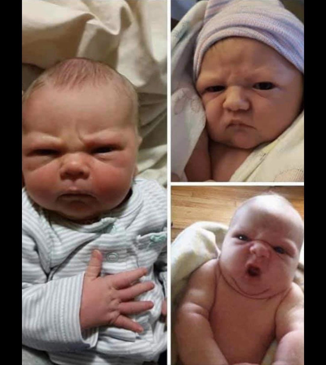 High Quality Angry Baby Blank Meme Template