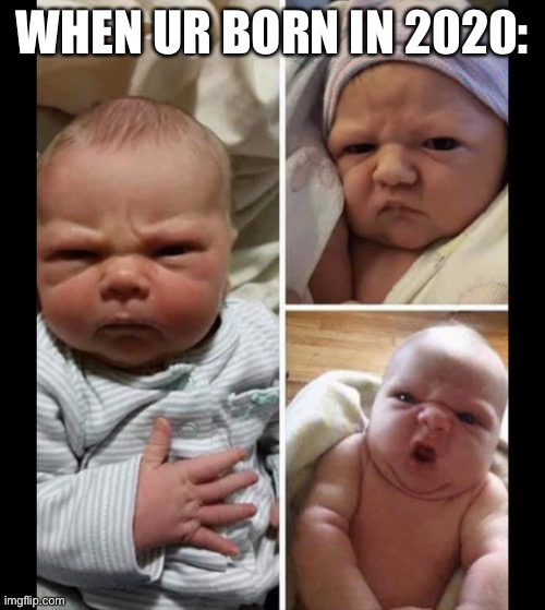 When ur born in 2020 | WHEN UR BORN IN 2020: | image tagged in angry baby | made w/ Imgflip meme maker