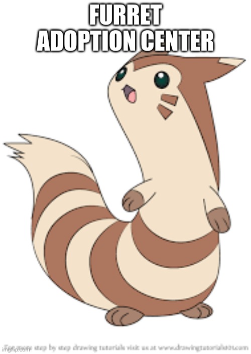 Trainwatcher has another store (but i'm not copying him im working for him :D) | FURRET ADOPTION CENTER | made w/ Imgflip meme maker