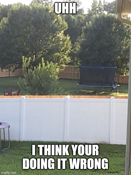 R they going to try sitting in that or no? |  UHH; I THINK YOUR DOING IT WRONG | image tagged in neighbors lost braincells,quarantine,this world is going mad | made w/ Imgflip meme maker