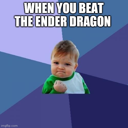 Success Kid Meme | WHEN YOU BEAT THE ENDER DRAGON | image tagged in memes,success kid | made w/ Imgflip meme maker