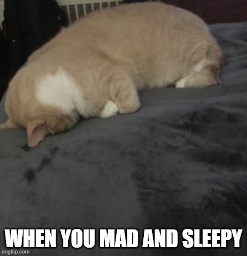 Mad But Tired | WHEN YOU MAD AND SLEEPY | image tagged in mad,sleepy,leave me alone,upset,cat | made w/ Imgflip meme maker