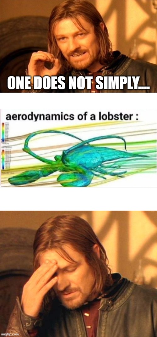 HEY! I say it makes sense so it makes sense! | ONE DOES NOT SIMPLY.... | image tagged in boromir frustrated,memes,aerodynamics of a lobster,one does not simply | made w/ Imgflip meme maker