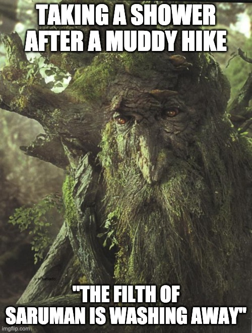 Tree Beard | TAKING A SHOWER AFTER A MUDDY HIKE; "THE FILTH OF SARUMAN IS WASHING AWAY" | image tagged in tree beard,lotr | made w/ Imgflip meme maker