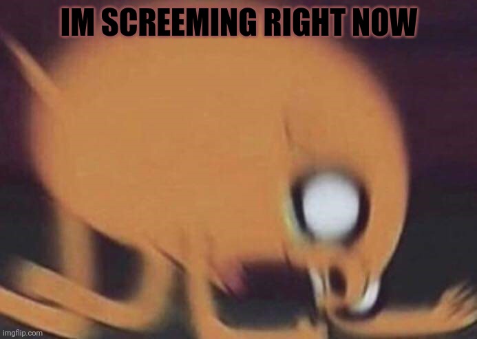 jake screech | IM SCREEMING RIGHT NOW | image tagged in jake screech | made w/ Imgflip meme maker