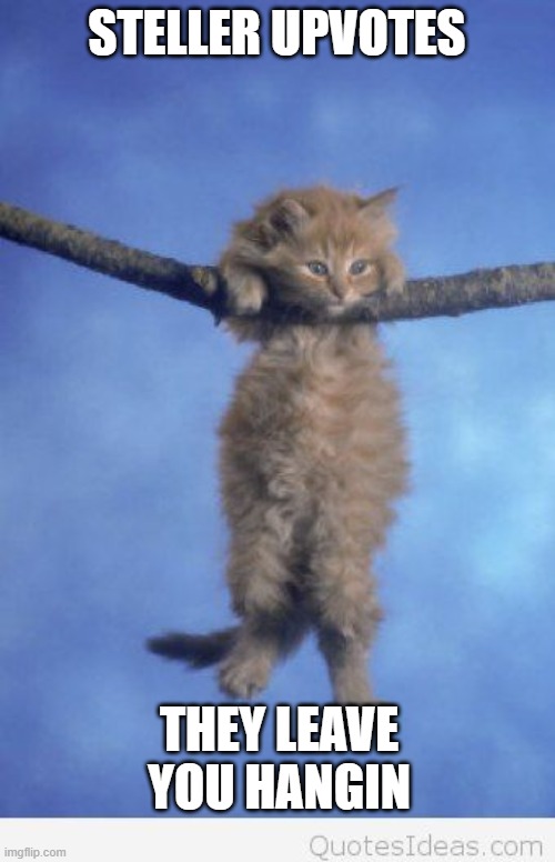 Hang in there | STELLER UPVOTES THEY LEAVE YOU HANGIN | image tagged in hang in there | made w/ Imgflip meme maker