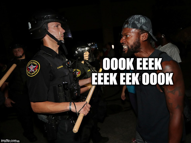 WAR | OOOK EEEK EEEK EEK OOOK | image tagged in war | made w/ Imgflip meme maker