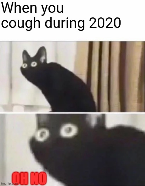Oh No Black Cat | When you cough during 2020; OH NO | image tagged in oh no black cat | made w/ Imgflip meme maker