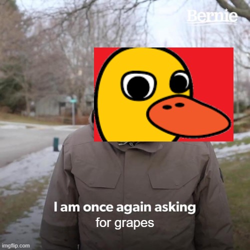 Grapes | for grapes | image tagged in memes,bernie i am once again asking for your support | made w/ Imgflip meme maker