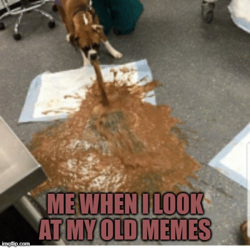 puking dog | ME WHEN I LOOK AT MY OLD MEMES | image tagged in memes,funny | made w/ Imgflip meme maker