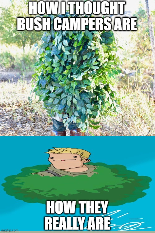 Fortnite bush campers be like | HOW I THOUGHT BUSH CAMPERS ARE; HOW THEY REALLY ARE | image tagged in lol | made w/ Imgflip meme maker