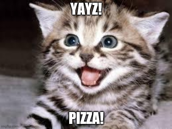 happy cat | YAYZ! PIZZA! | image tagged in happy cat | made w/ Imgflip meme maker