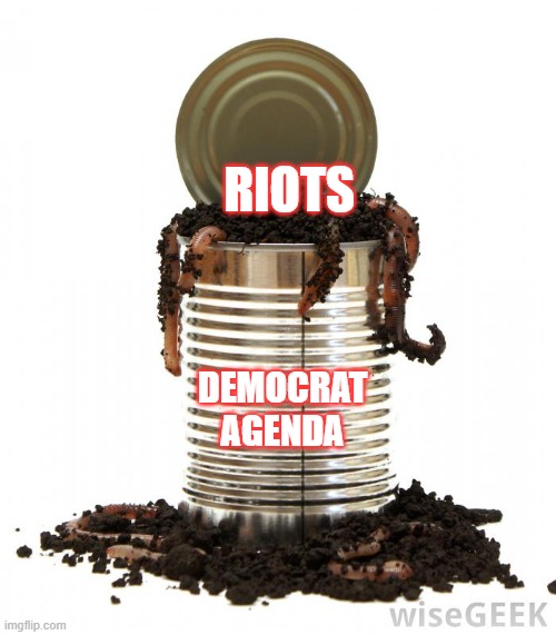 Can of Worms | RIOTS; DEMOCRAT
AGENDA | image tagged in politics,democrats,riots | made w/ Imgflip meme maker