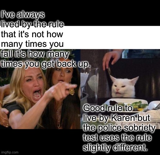 Woman yelling at cat | I've always lived by the rule that it's not how many times you fall it's how many times you get back up. Good rule to live by Karen but the police sobriety test uses the rule slightly different. | image tagged in memes,woman yelling at cat | made w/ Imgflip meme maker