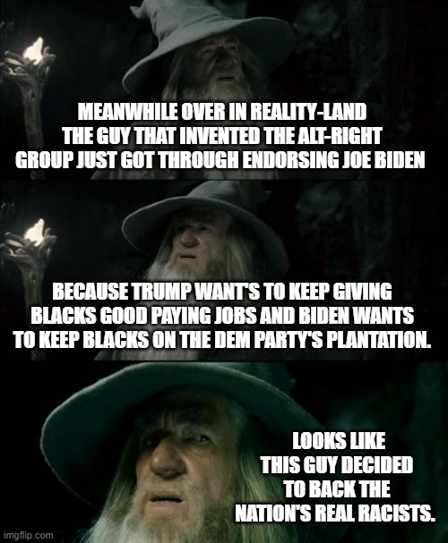 Confused Gandalf | MEANWHILE OVER IN REALITY-LAND THE GUY THAT INVENTED THE ALT-RIGHT GROUP JUST GOT THROUGH ENDORSING JOE BIDEN; BECAUSE TRUMP WANT'S TO KEEP GIVING BLACKS GOOD PAYING JOBS AND BIDEN WANTS TO KEEP BLACKS ON THE DEM PARTY'S PLANTATION. LOOKS LIKE THIS GUY DECIDED TO BACK THE NATION'S REAL RACISTS. | image tagged in memes,confused gandalf | made w/ Imgflip meme maker