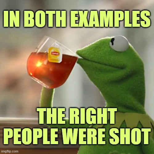 But That's None Of My Business Meme | IN BOTH EXAMPLES THE RIGHT PEOPLE WERE SHOT | image tagged in memes,but that's none of my business,kermit the frog | made w/ Imgflip meme maker