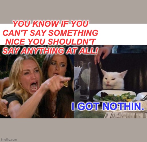 Woman Yelling At Cat Meme | YOU KNOW IF YOU CAN'T SAY SOMETHING NICE YOU SHOULDN'T SAY ANYTHING AT ALL! I GOT NOTHIN. | image tagged in memes,woman yelling at cat | made w/ Imgflip meme maker
