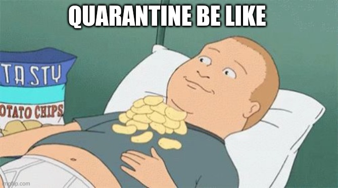 Truth | QUARANTINE BE LIKE | image tagged in bobby hill chips | made w/ Imgflip meme maker