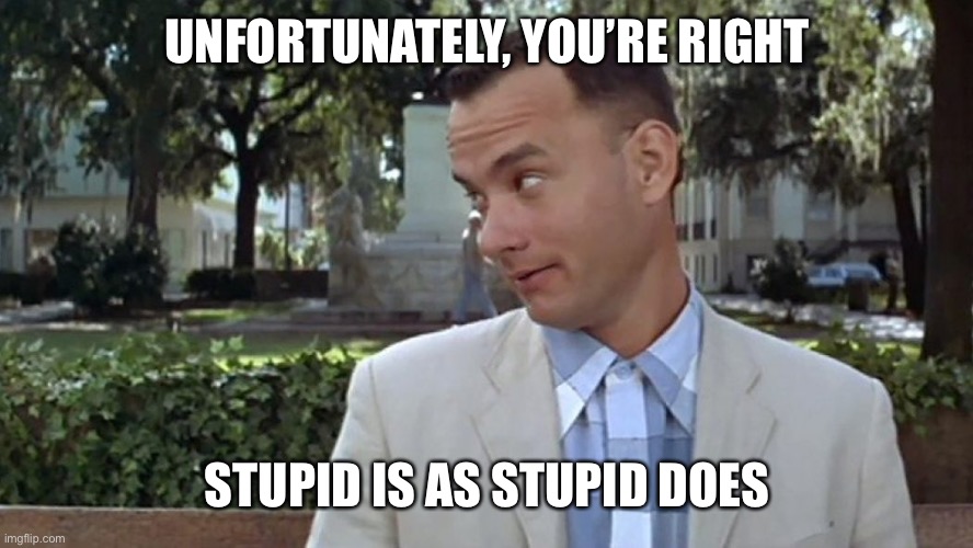 Forrest Gump Face | UNFORTUNATELY, YOU’RE RIGHT STUPID IS AS STUPID DOES | image tagged in forrest gump face | made w/ Imgflip meme maker