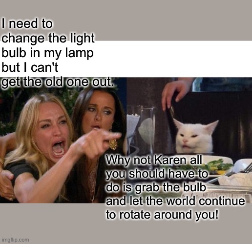Woman Yelling At Cat Meme | I need to change the light bulb in my lamp but I can't get the old one out. Why not Karen all you should have to do is grab the bulb and let the world continue to rotate around you! | image tagged in memes,woman yelling at cat | made w/ Imgflip meme maker