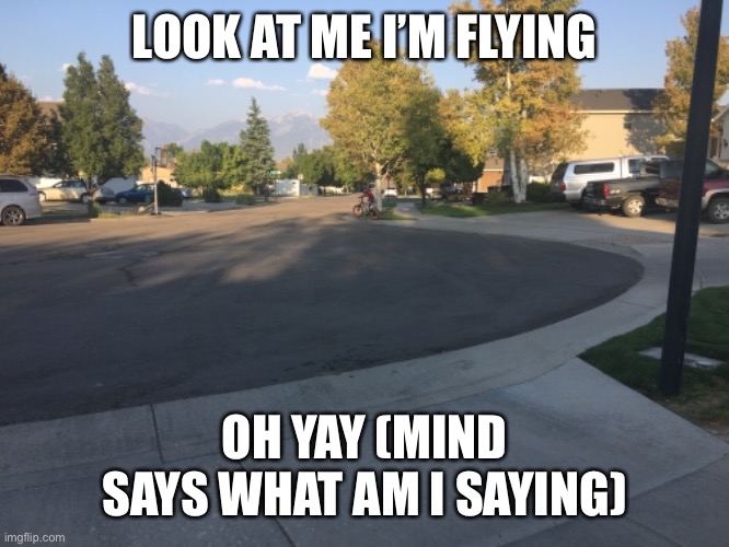 Good air or is it | LOOK AT ME I’M FLYING; OH YAY (MIND SAYS WHAT AM I SAYING) | image tagged in memes | made w/ Imgflip meme maker