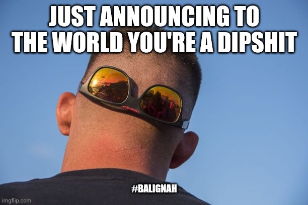 Please stop | JUST ANNOUNCING TO THE WORLD YOU'RE A DIPSHIT; #BALIGNAH | image tagged in original meme,sunglasses,idiot,stupid people,moron | made w/ Imgflip meme maker