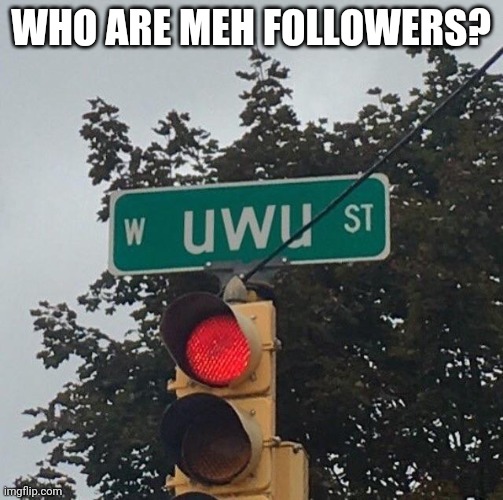 uwu street | WHO ARE MEH FOLLOWERS? | image tagged in uwu street | made w/ Imgflip meme maker