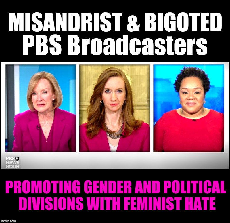 High Quality PBS bigoted feminists Blank Meme Template