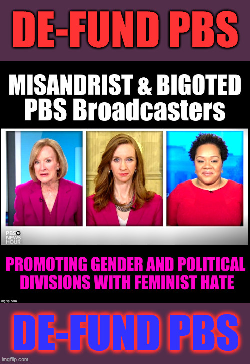 DE-FUND PBS | DE-FUND PBS; DE-FUND PBS | image tagged in pbs bigoted feminists,pbs spreads hate,everything is hate toward trump,kiss my ass,pbs | made w/ Imgflip meme maker