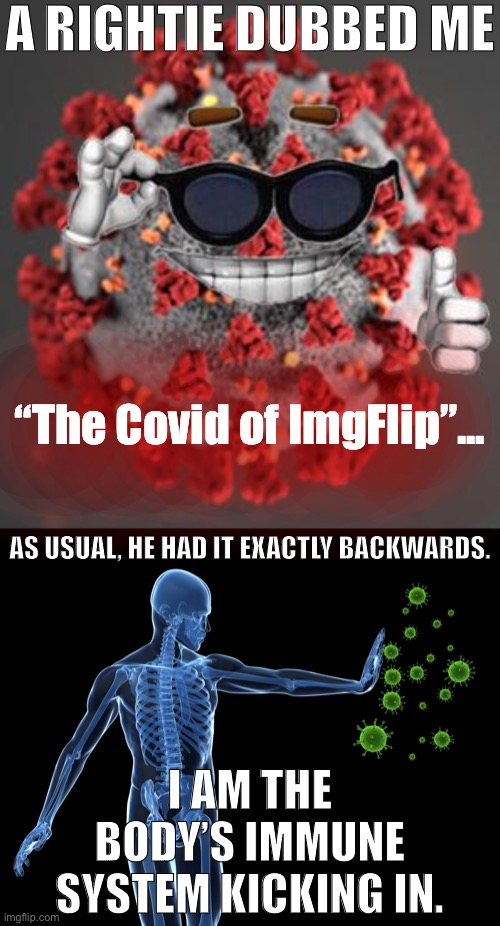 Maybe a leeeeeetle arrogant on my part. But too funny not to meme :) | A RIGHTIE DUBBED ME; “The Covid of ImgFlip”... AS USUAL, HE HAD IT EXACTLY BACKWARDS. I AM THE BODY’S IMMUNE SYSTEM KICKING IN. | image tagged in immune system,coronavirus,corona virus,covid-19,right wing,imgflip users | made w/ Imgflip meme maker