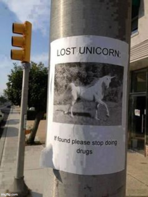 Please find this unicorn for me | image tagged in drugs,unicorn,lost | made w/ Imgflip meme maker