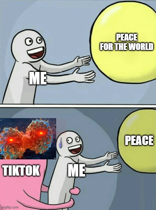 come on, i don't wanna see them! | PEACE FOR THE WORLD; ME; PEACE; TIKTOK; ME | image tagged in memes,running away balloon | made w/ Imgflip meme maker