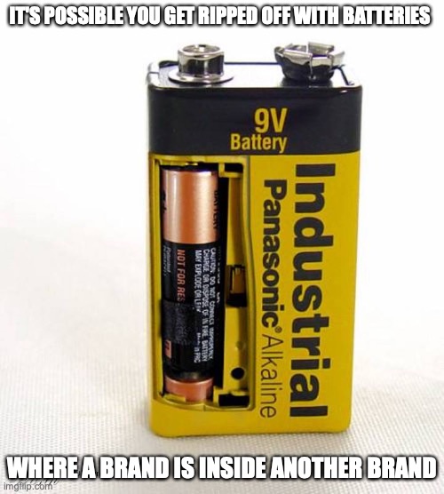 Battery Inside a Battery | IT'S POSSIBLE YOU GET RIPPED OFF WITH BATTERIES; WHERE A BRAND IS INSIDE ANOTHER BRAND | image tagged in battery,memes | made w/ Imgflip meme maker