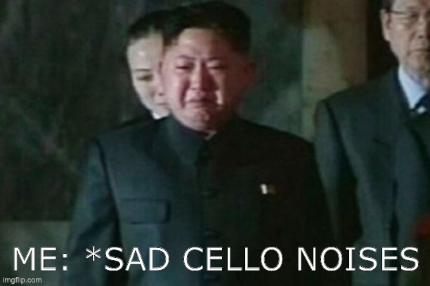 Kim Jong Un Sad Meme | ME: *SAD CELLO NOISES | image tagged in memes,kim jong un sad | made w/ Imgflip meme maker