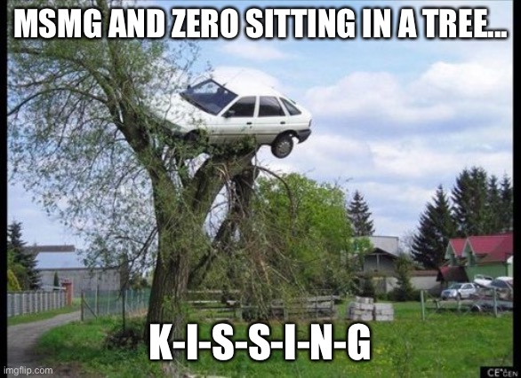 I ship it so hard | MSMG AND ZERO SITTING IN A TREE... K-I-S-S-I-N-G | image tagged in memes,secure parking | made w/ Imgflip meme maker