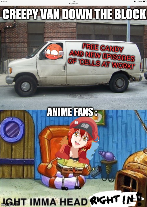 Creepy van | CREEPY VAN DOWN THE BLOCK; FREE CANDY AND NEW EPISODES OF 'CELLS AT WORK!'; ANIME FANS : | image tagged in white van,cells at work,anime girl,free candy | made w/ Imgflip meme maker