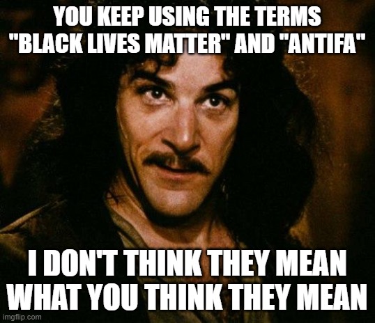 Inigo Montoya | YOU KEEP USING THE TERMS "BLACK LIVES MATTER" AND "ANTIFA"; I DON'T THINK THEY MEAN WHAT YOU THINK THEY MEAN | image tagged in memes,inigo montoya | made w/ Imgflip meme maker