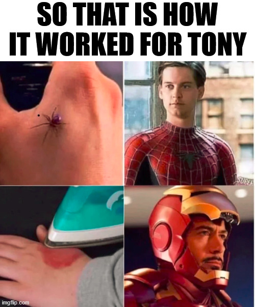 SO THAT IS HOW IT WORKED FOR TONY | made w/ Imgflip meme maker