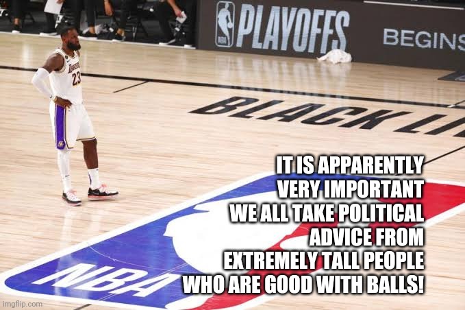 NBA cancelled | IT IS APPARENTLY VERY IMPORTANT WE ALL TAKE POLITICAL ADVICE FROM EXTREMELY TALL PEOPLE WHO ARE GOOD WITH BALLS! | image tagged in nba,lebron james,black lives matter,dnc | made w/ Imgflip meme maker
