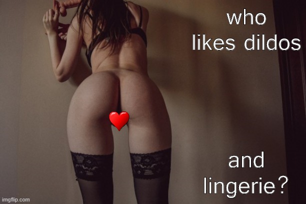 yo dawg if u like dildos & lingerie, u came to the right meme | who likes dildos; and lingerie? | image tagged in lingerie,dildo,dildos,sexy woman,sexy,sexy legs | made w/ Imgflip meme maker