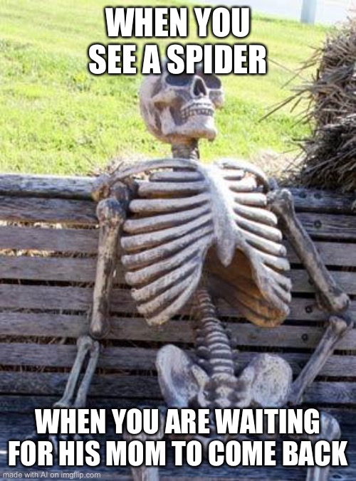 she’s not coming back bro | WHEN YOU SEE A SPIDER; WHEN YOU ARE WAITING FOR HIS MOM TO COME BACK | image tagged in memes,waiting skeleton | made w/ Imgflip meme maker