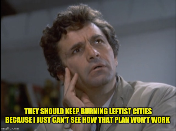 Columbo | THEY SHOULD KEEP BURNING LEFTIST CITIES BECAUSE I JUST CAN'T SEE HOW THAT PLAN WON'T WORK | image tagged in columbo | made w/ Imgflip meme maker