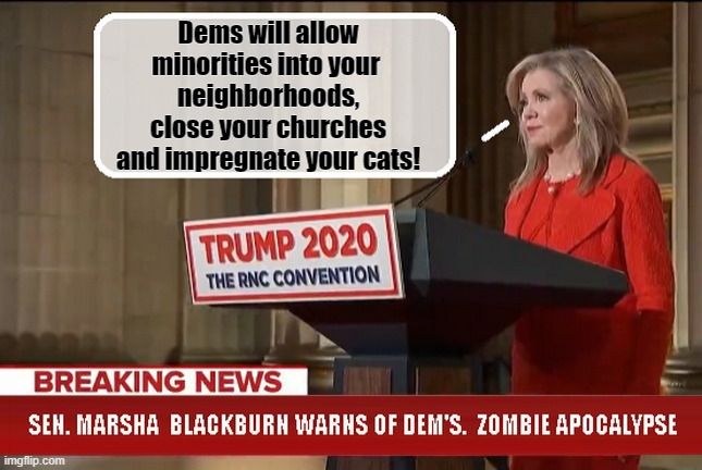 Oh The Humanity!!! | Dems will allow minorities into your 
neighborhoods, close your churches and impregnate your cats! | image tagged in rnc convention,bullshit,trump is a moron,idiot,zombie apocalypse | made w/ Imgflip meme maker