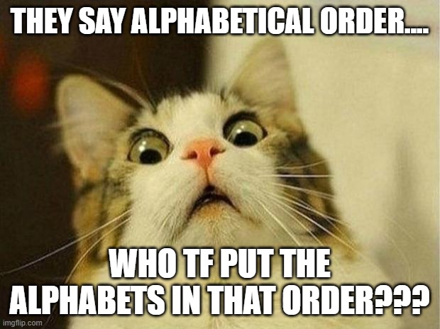 Scared Cat | THEY SAY ALPHABETICAL ORDER.... WHO TF PUT THE ALPHABETS IN THAT ORDER??? | image tagged in memes,scared cat | made w/ Imgflip meme maker