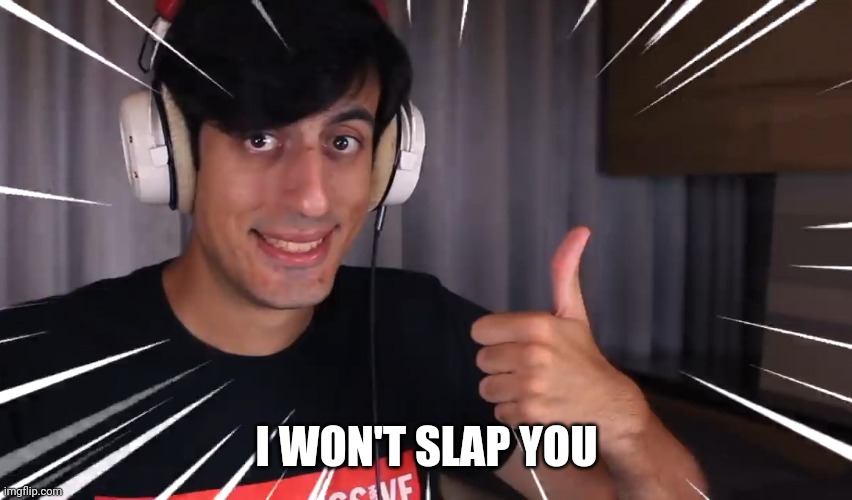 Davie504 Approve | I WON'T SLAP YOU | image tagged in davie504 approve | made w/ Imgflip meme maker