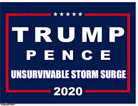 Trump pence | UNSURVIVABLE STORM SURGE | image tagged in trump 2020,trump | made w/ Imgflip meme maker